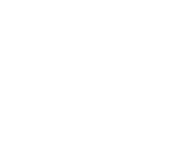 Logo Seve